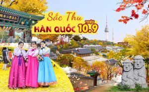 Tour du lịch Hàn Quốc: Seoul – Everland – Seoul (Hái Lê)